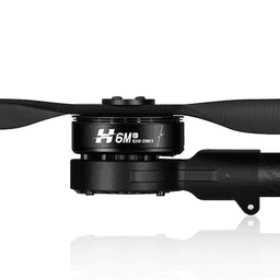 H6/M 1