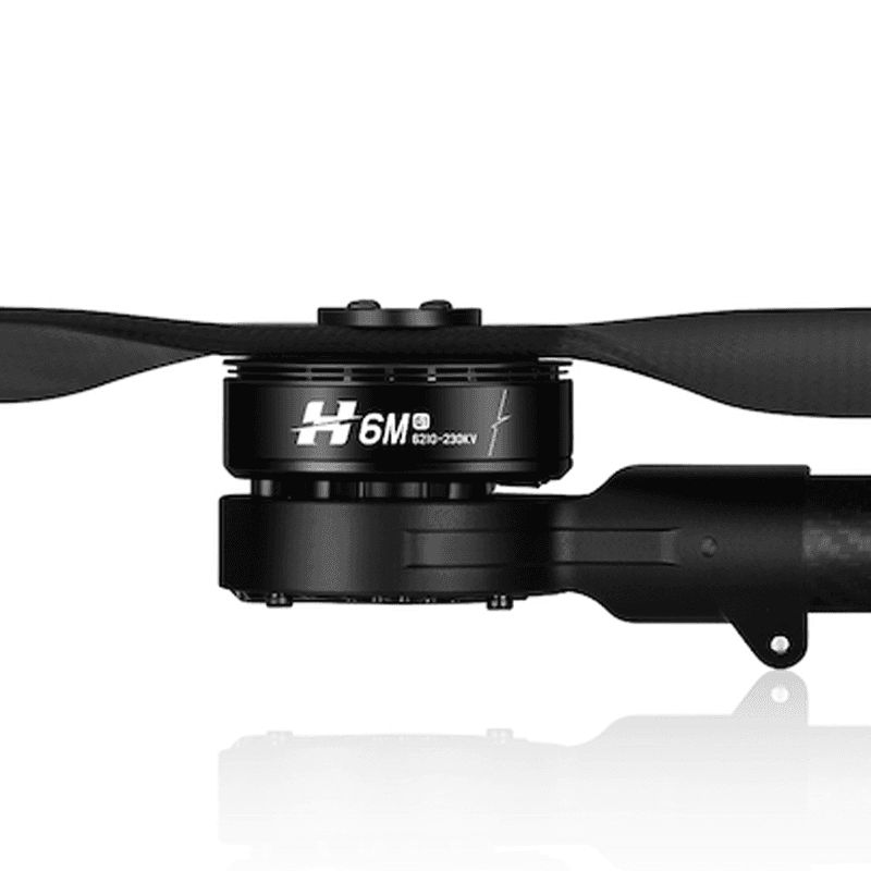 H6/M
